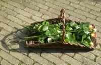 Bloemenplukmand